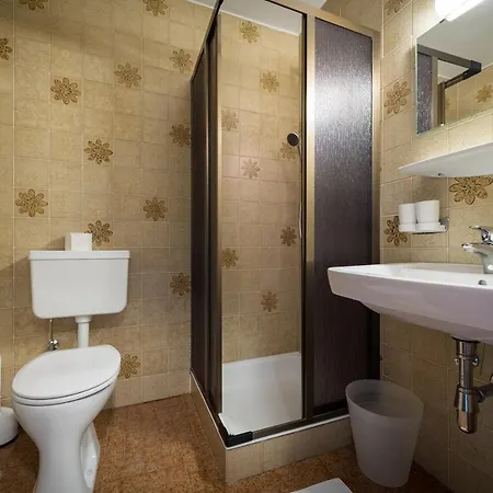 מלון Schwannerwirt 3*