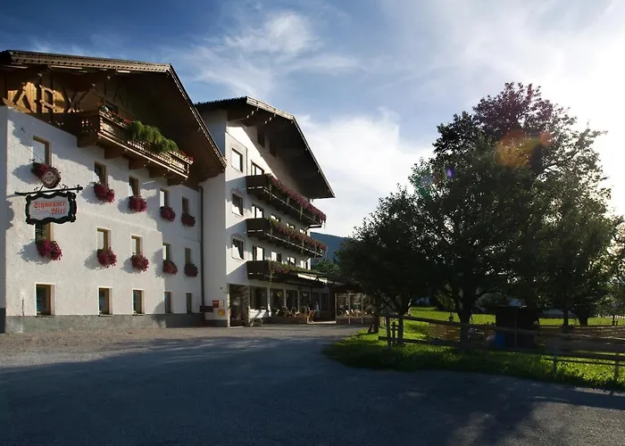 Otel Schwannerwirt 3*