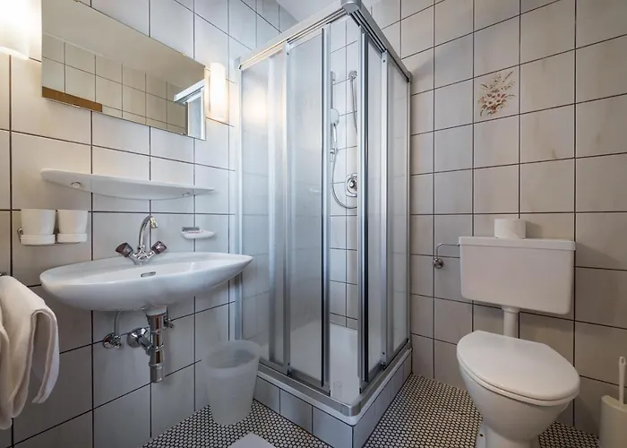 Hotel Schwannerwirt 3*